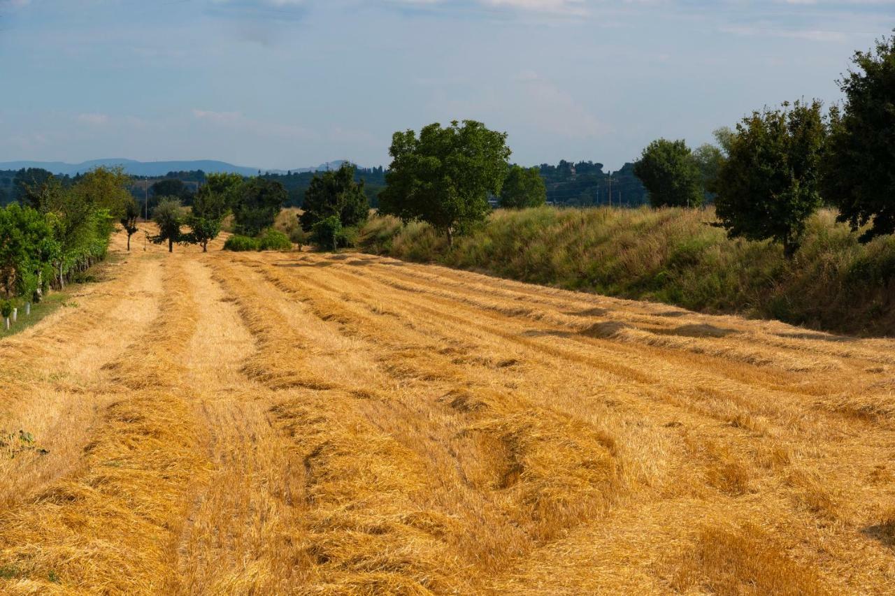 Locazione Turistica Casa Vento Della Toscana โฟยาโน เดลเล เคียนา ภายนอก รูปภาพ